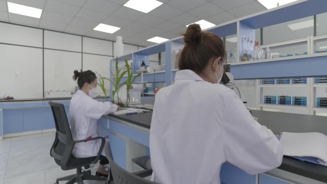 智慧乡村农业黑土地土壤成分玉米苗植物实验