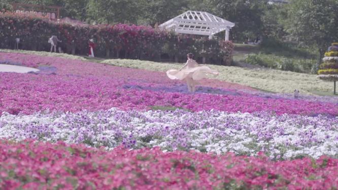 唯美美女在花海中跳舞春天鲜花盛开人比花娇