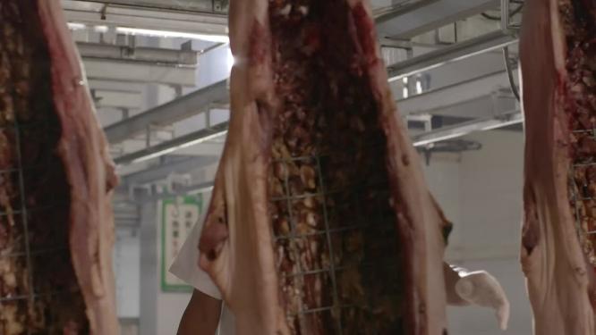 广东美食烤脆皮猪烧腊切烧猪祭祖大乳猪出炉