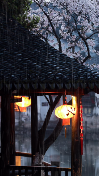 下雨天书品美景摇臂镜头