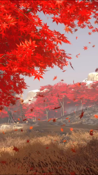 秋叶飘落美景 竖屏