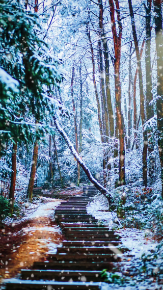 雪景意境竖屏