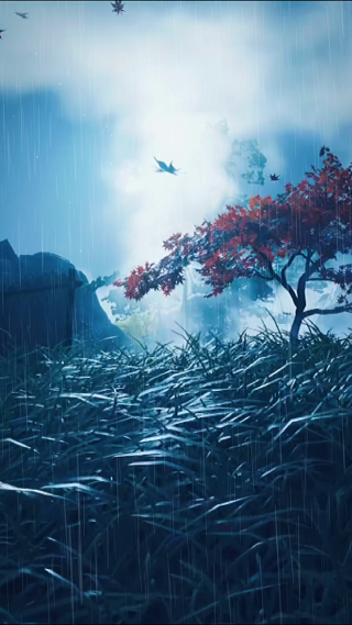 大风刮 下雨风景竖屏