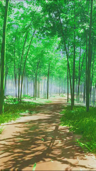 绿树成荫下的羊肠小道竖屏