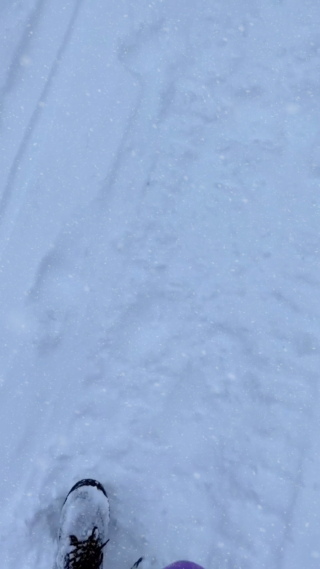 雪地里行走竖屏