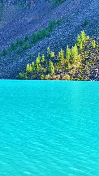 治愈系风景