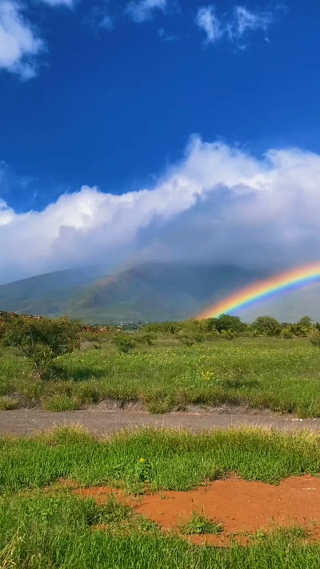 治愈系风景