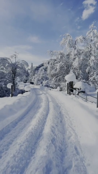雪景竖屏