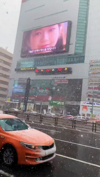 飘雪中的城市车流竖屏镜头