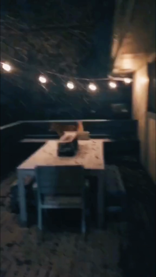 雪景竖屏