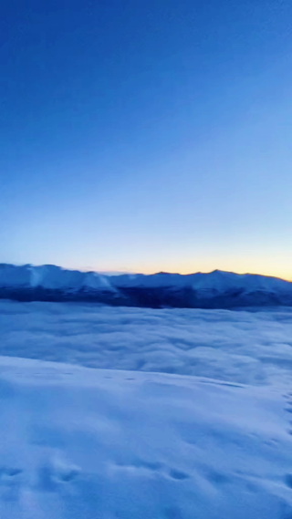 狗狗奔跑在 雪地里竖屏镜头