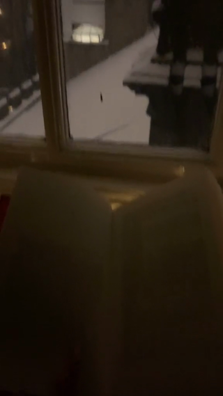 国外窗外看雪景竖屏镜头