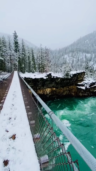 雪景中的河流竖屏镜头