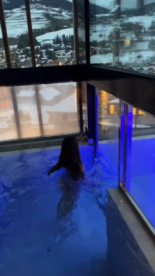 女子游泳中高空观看雪景竖屏镜头