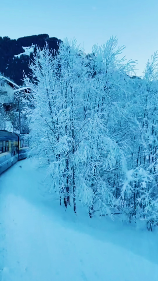雪景竖屏