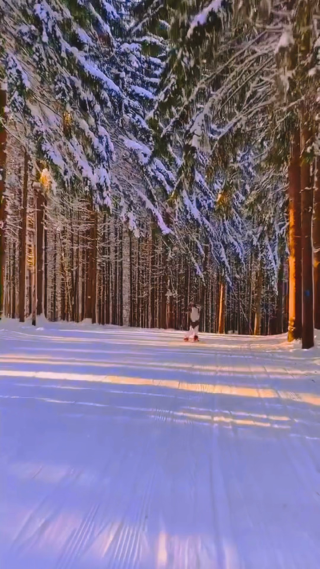 森林滑雪竖屏镜头