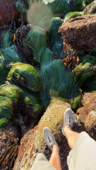 海边礁石美景竖屏