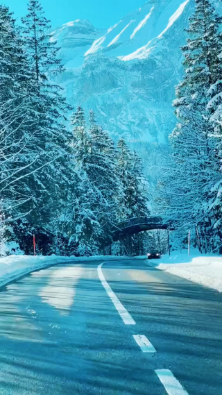 车行驶小道上雪景竖屏镜头