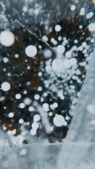 雪球花竖屏镜头