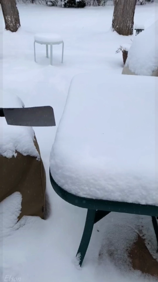 雪地游戏