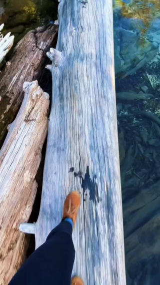 独木桥上的湖面风景