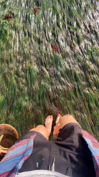 赤脚感受海岸边青苔