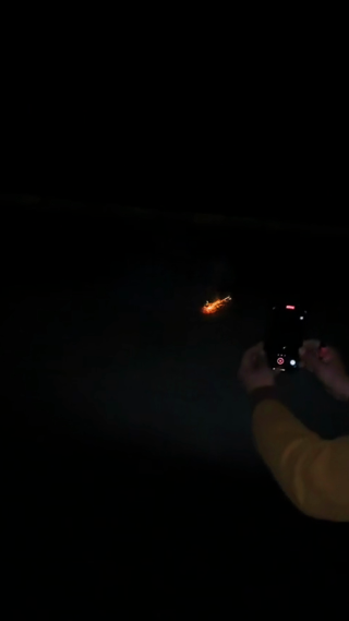 烟花绽放照亮夜空