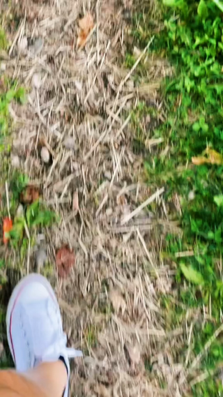 高山下的小镇