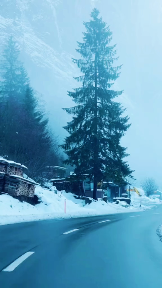 雪天行进中的风景