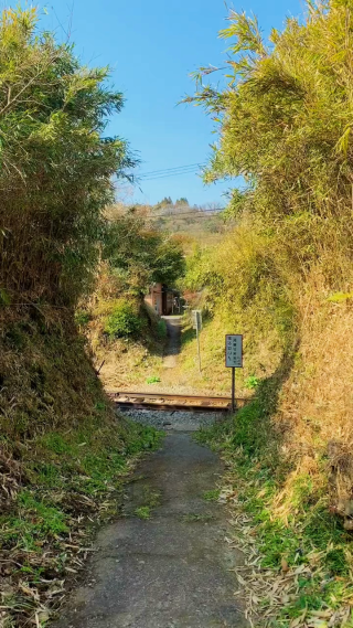 火车路过