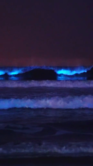 夜晚荧光海浪
