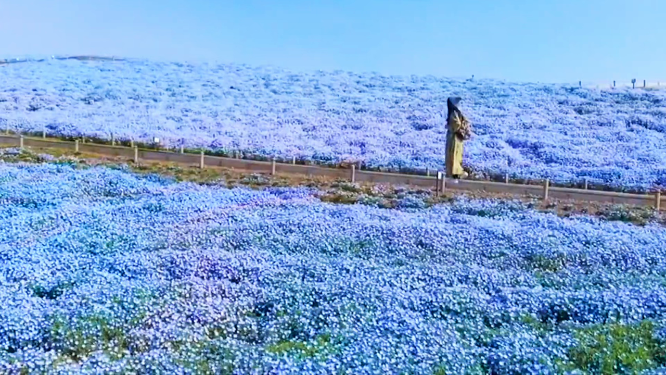 花海