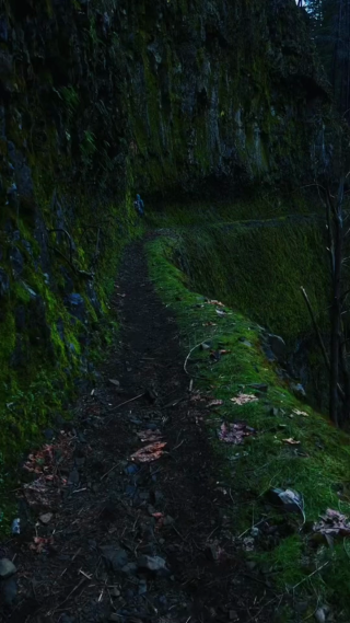 沿着山体小路前进