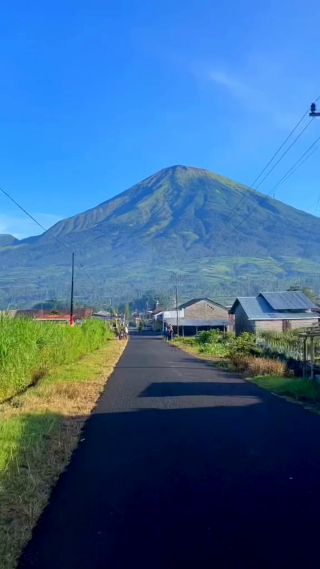 乡间小路风景竖屏