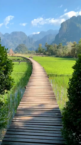 治愈系风景竖屏