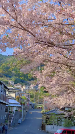 治愈系风景竖屏