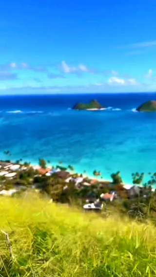 治愈系风景