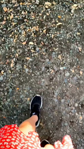 治愈系风景