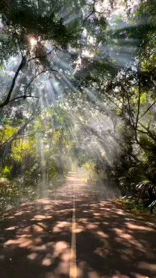 治愈系风景