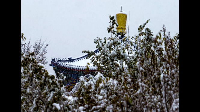 大雪中的乌鲁木齐（延时）