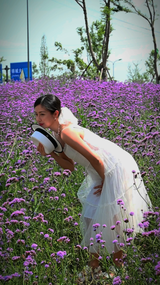 薰衣草花田里拍摄的女性 竖屏