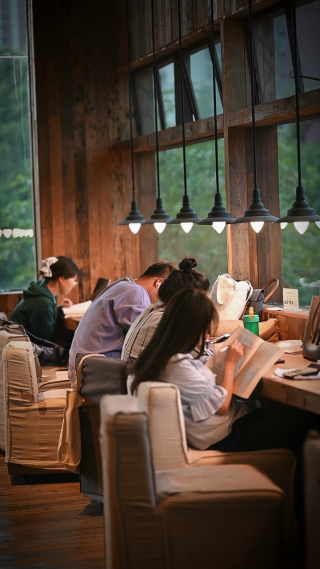 年轻人一起学习 竖屏