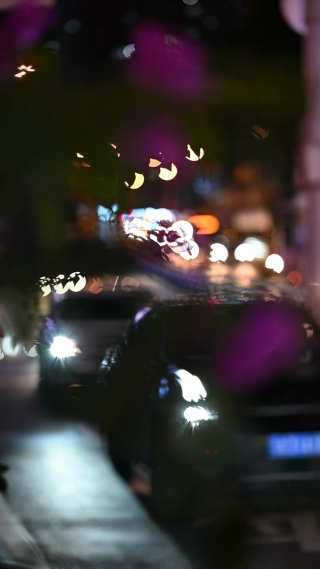 树影下的街道车流. 竖屏