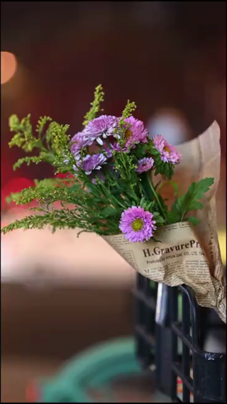 绿色植物拍摄 竖屏