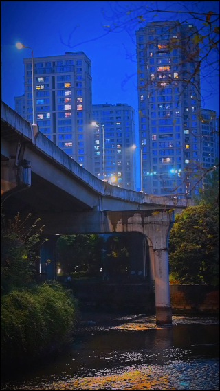 城市夜晚道路车辆穿行