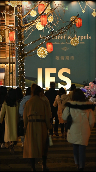城市夜晚街头的路人 竖屏