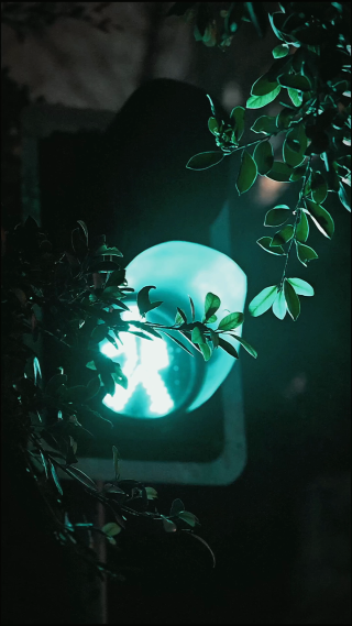 城市中心夜晚灯光闪烁 竖屏
