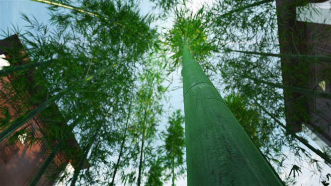 唯美竹林景观意境三维动画