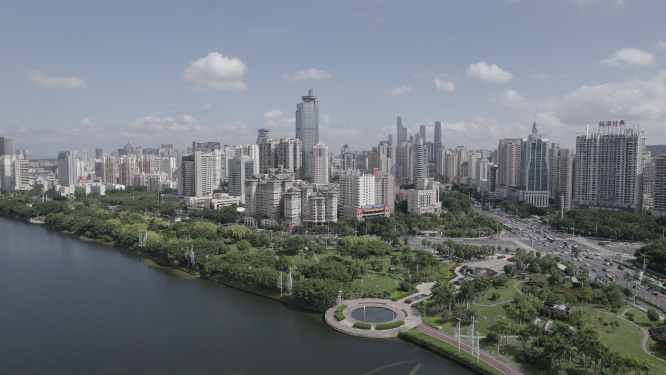 南湖地王大厦