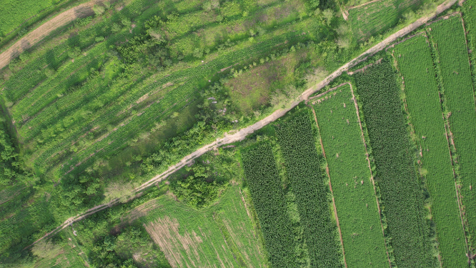 航拍山东荣成荫子镇后龙河水库的田间道路